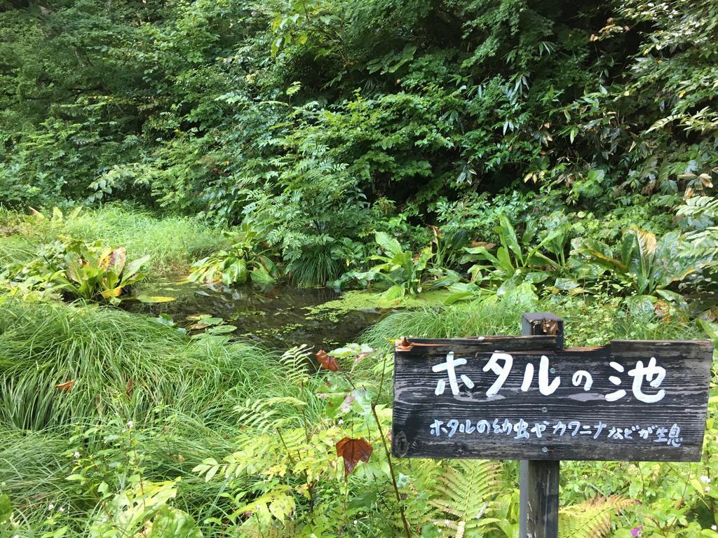 Lamp No Yado Aoni Onsen Hotell Hirakawa Eksteriør bilde